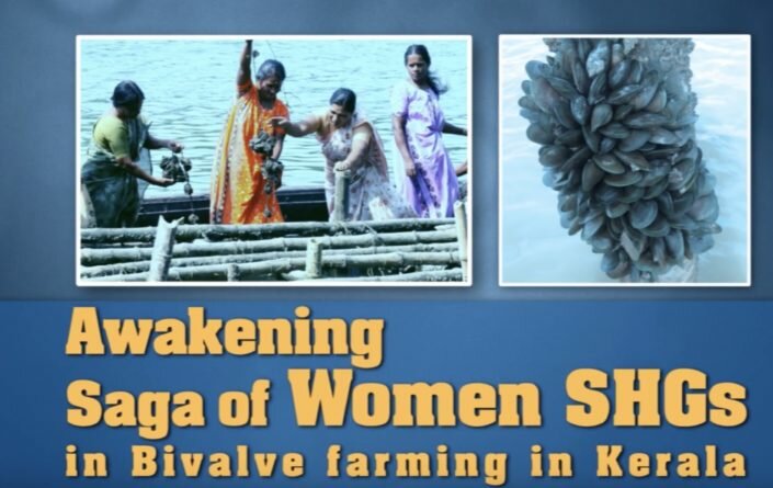 Bivalve Farming