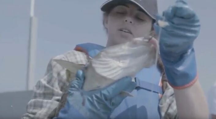 Girls who Fish in Petty Harbour