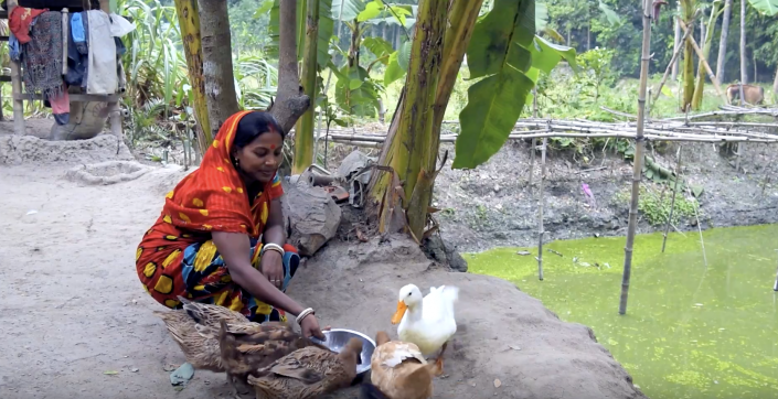Gill nets boost women’s involvement in aquaculture in Bangladesh