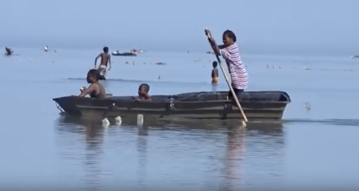 Seaweed Farming